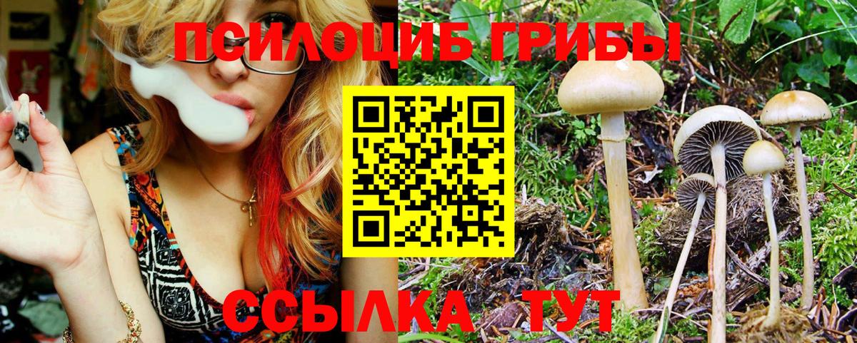 Псилоцибиновые грибы Magic Shrooms  Вход с VPN  Галлюциногенные грибы MAGIC MUSHROOMS  Ивантеевка 
